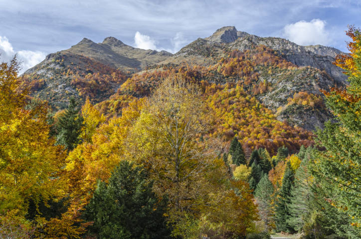 Huesca - valle de Bujaruelo 28.jpg